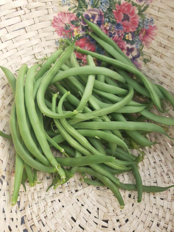 beans from a WATERfirst RAWW System